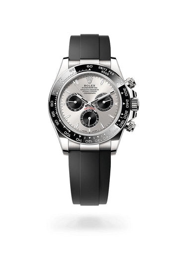 Cosmograph Daytona，Oyster, 40 mm, white gold, M126519LN-0006