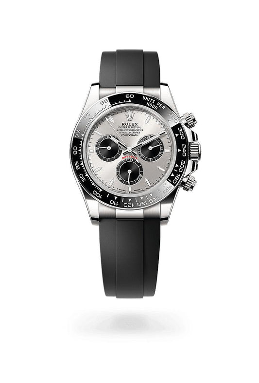 Cosmograph Daytona，Oyster, 40 mm, white gold, M126519LN-0006